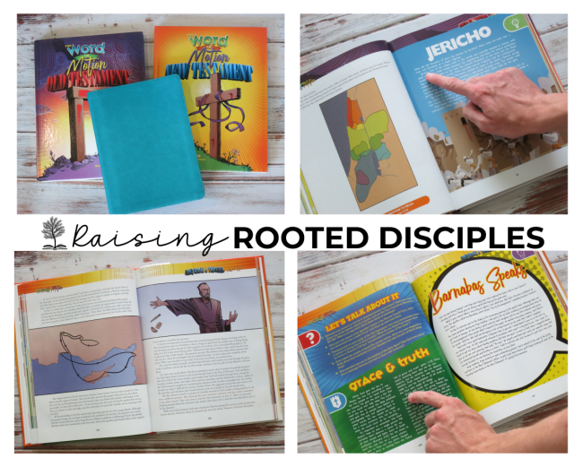 Apologia Bible Curriculum Review - glancing in the textbook Apologia Bible Curriculum Review - glancing in the textbook