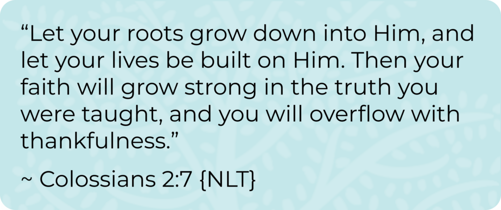 Colossians 2:7 ~ Raising Rooted Disciples