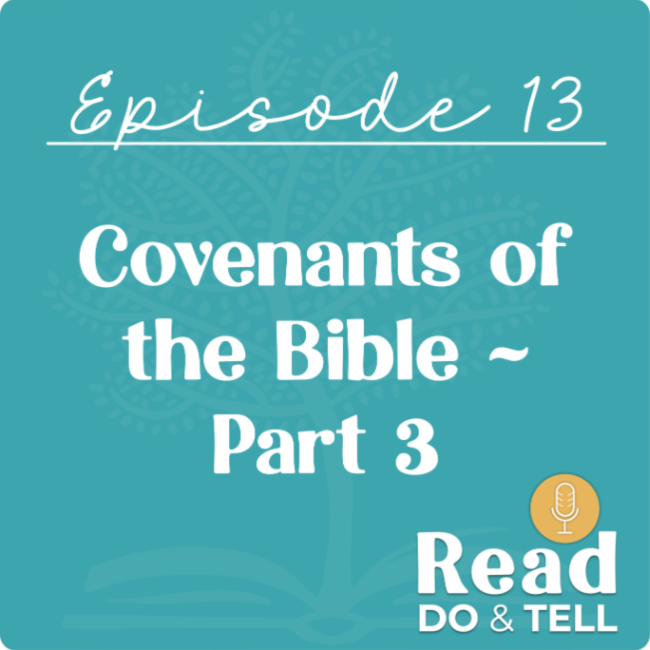 The Mosaic Covenant Explained ~ Part 3 of our Podcast Series