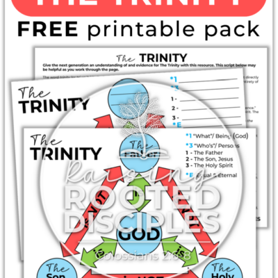 The Trinity Diagram & Teaching Resource