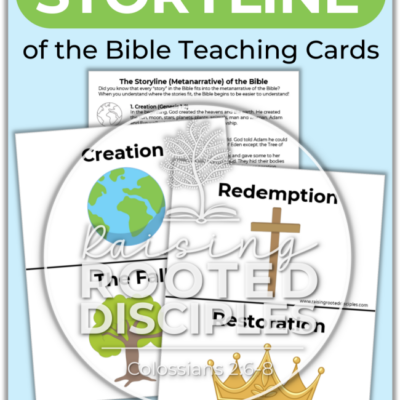 Storyline of the Bible Teaching Cards